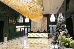 The Mirlux Plaza Hotel