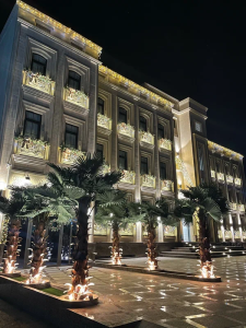 Paradise Plaza Luxury Hotel
